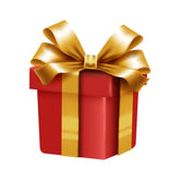 Surprise Gift 1
